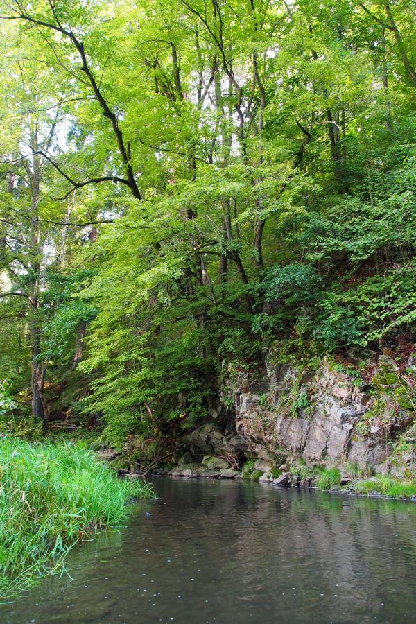 Camping Fox Cesky Krumlov Kájov Eksteriør bilde